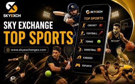 Sky Exchange Basketball Guide: 2026 NBA Teams, Scores and Game Insights