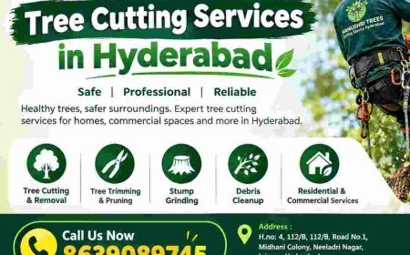 Tree Cutting Services in hyderabad