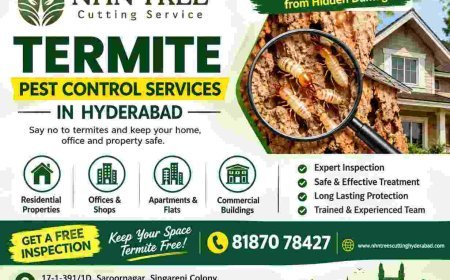 Termite Pest Control Services in Hyderabad