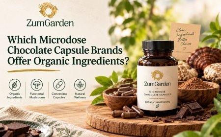 Which Microdose Chocolate Capsule Brands Offer Organic Ingredients?