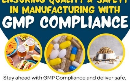 GMP Certification in Egypt