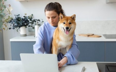 Sliding Dog Gate Questions Every Pet Owner Asks Before Ordering Online