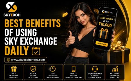 Sky Exchange App Review 2026: Mobile Platform Features Explained