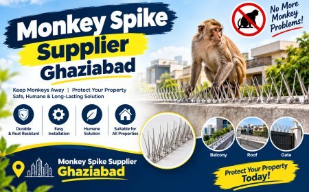 Monkey Spike Supplier Ghaziabad for Reliable Property Protection