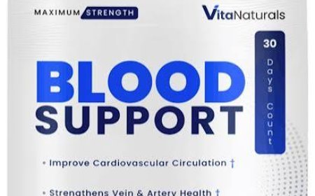 What are the benefits of Vita Naturals Blood Support Supplement?