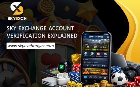 Sky Exchange Homepage: How to Find Important Sections Quickly