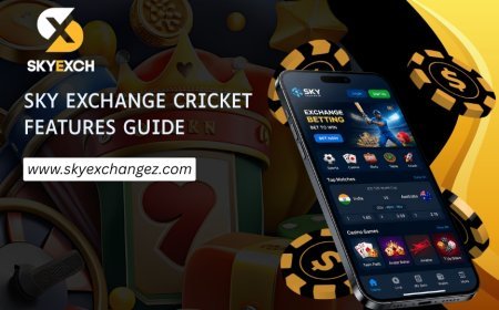 Sky Exchange Cricket Section: How to Read Match Information