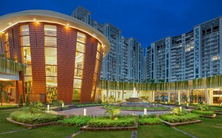 The Morning Tea Test - How to Know You Have Found Premium Real Estate in Tricity