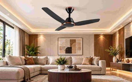 What Makes BLDC Ceiling Fans a New-Age Cooling Choice?