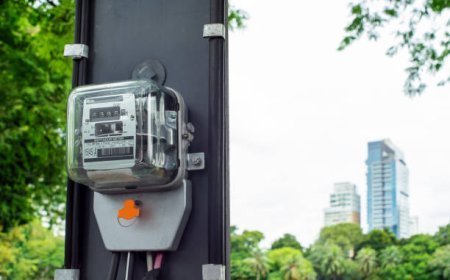 Latin America Smart Metering Market: Key Growth Trends
