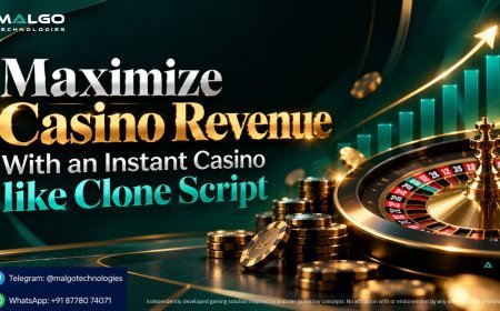 Maximize Casino Revenue With an Instant Casino Like Clone Script