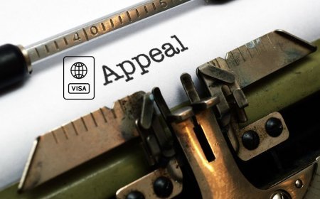 How to Write a Visa Cancellation Appeal Letter?
