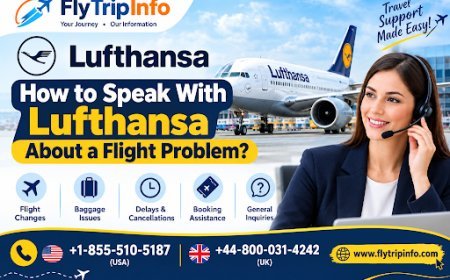 How to Speak With Lufthansa About a Flight Problem?