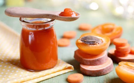 Belgium Baby Food Advances Through Nutrition Awareness, Convenience, and Plant-Based Innovation