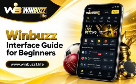 Winbuzz User Interface Guide: Find Important Features Easily