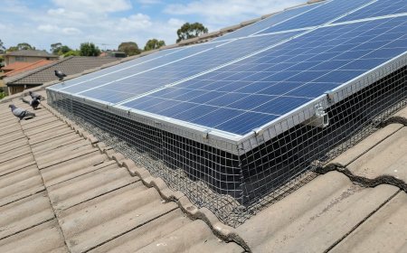 Stop Nesting Birds From Affecting Solar Panel Performance