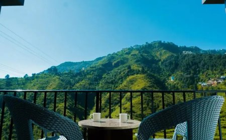 Best Hotels in Mussoorie: Find the Perfect Stay for Your Mountain Getaway with Pulp Hotels
