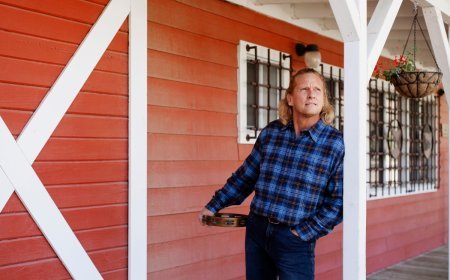 Storage Sheds Brisbane: Types, Uses, Costs, and Storage Tips