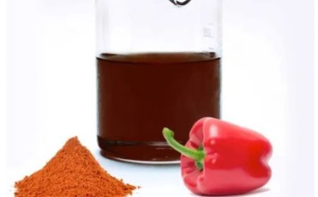 Paprika Oleoresin W/S Manufacturers – Quality Ingredient Solutions | Silverline Chemicals