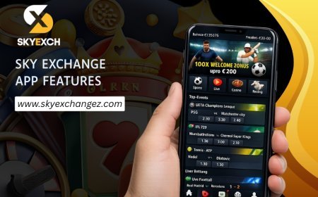 Sky Exchange Guide: Important Things to Know Before Getting Started