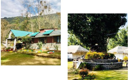 Resorts In Palampur for a Relaxing Holiday With a Swimming Pool