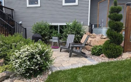 Elevate Your Outdoor Living With Creative Landscaping Ideas