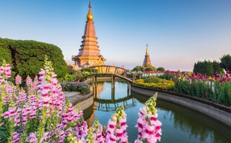 Beyond Visa Approval: The Hidden Financial Decisions Behind a Thailand Digital Nomad Visa