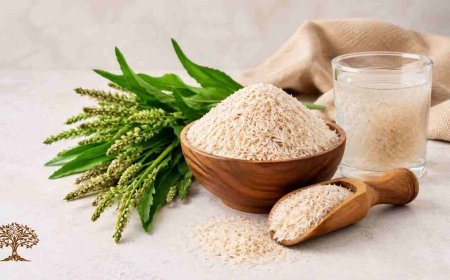 Why Psyllium Husk Matters in Modern Food Formulations
