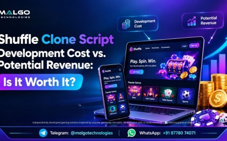 Shuffle Clone Script Development Cost vs. Potential Revenue: Is It Worth It?