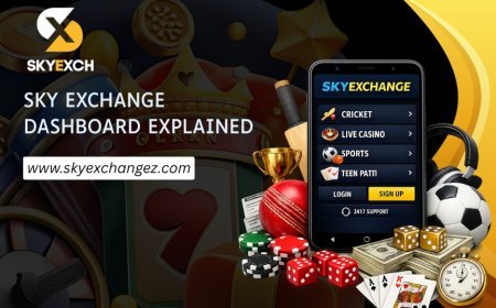 Sky Exchange Homepage Guide: Main Sections Explained