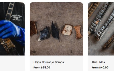 Buy Natural Dog Treats Online for Your Pet