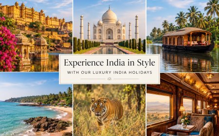 Experience India in Style with Our Luxury India Holidays