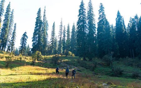 Kedarkantha Trek Cost, Best Time to Visit & My Winter Trek Experience with TTH
