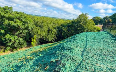 What to Expect from Professional Commercial Hydroseeding Services