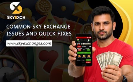 Sky Exchange 365 Login Issues: Common Causes and Fixes