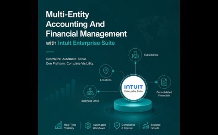 Minding My Books: Exploring the Key Capabilities of Intuit Enterprise Suite Software