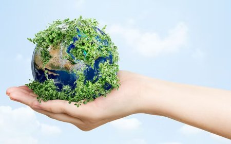 Alternative Plastic Manufacturers: Driving Sustainable Solutions for the Future