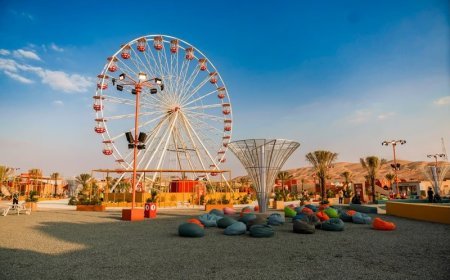 Liwa Desert Safari Abu Dhabi | Book Oasis & Dune Adventure