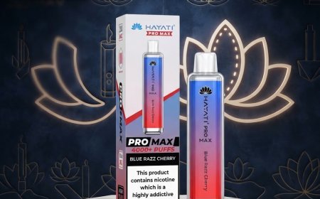 Hayati Pro Max 4000 Puffs Box of 10