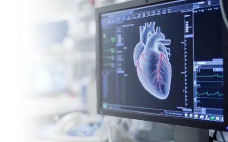 When Should You Check Echo Heart Test Price in Lahore?