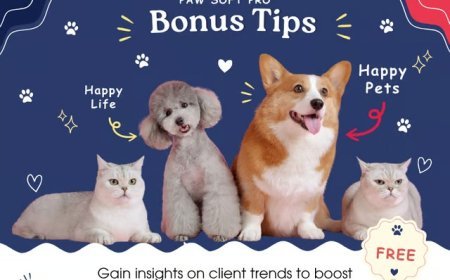 Digital Referral Program Ideas for Modern Pet Facilities