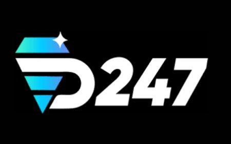 D247 App Download – Features, Installation & User Guide