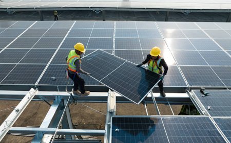 Proveedor de equipos solares: cómo comparar precio, stock y soporte para proyectos residenciales