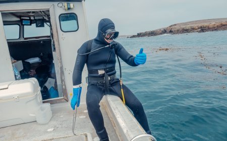 The Complete Scuba Diving Wetsuit Guide: Choose the Right Wetsuit for Every Dive