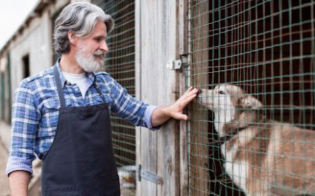 Choosing a Veterinarian in Brooklyn for Your Pet