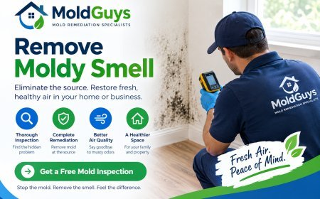 How to Remove Moldy Smell From Rooms Without Masking the Odor