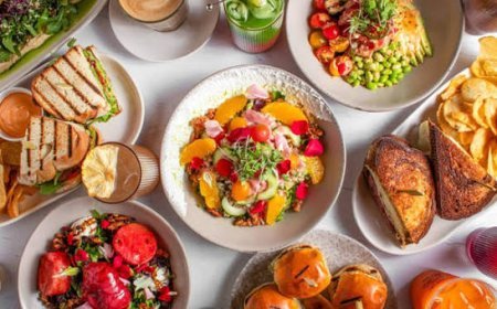 The Ultimate Guide to Choosing the Best Everyday Cookware for Your Kitchen