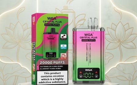 WGA Crystal Plus 20000 Rechargeable Vape | Dual Mesh Coils