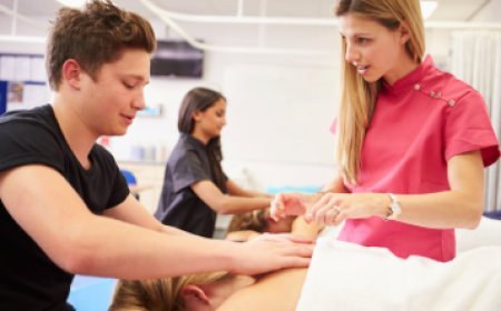 What Skills Do Students Gain Through Massage Therapy Education in Illinois?