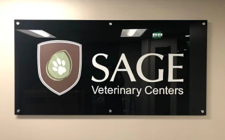 Choosing the Right Lobby Sign for Your San Jose Office or Commercial Space